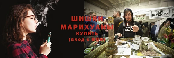 сатива Богданович