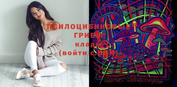 первитин Белоозёрский