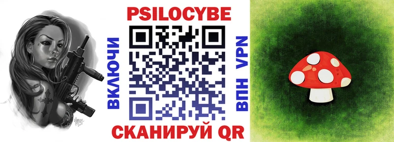 Псилоцибиновые грибы Psilocybe  Купить  Константиновск 